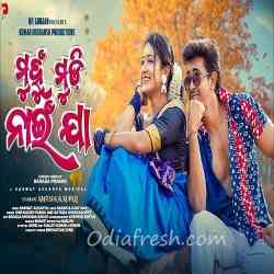 Muhaan Mudi Naiin Jaa